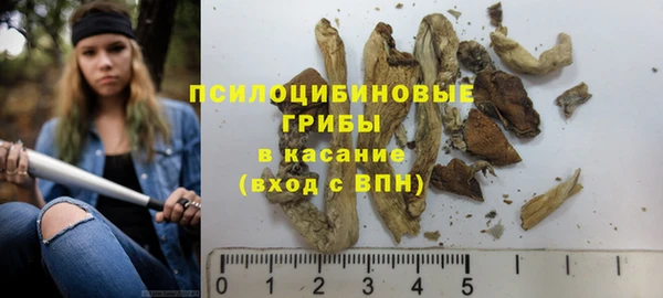 экстази Гусев