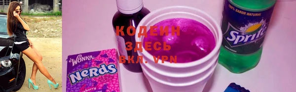 гашик Горняк