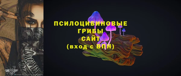 экстази Гусев