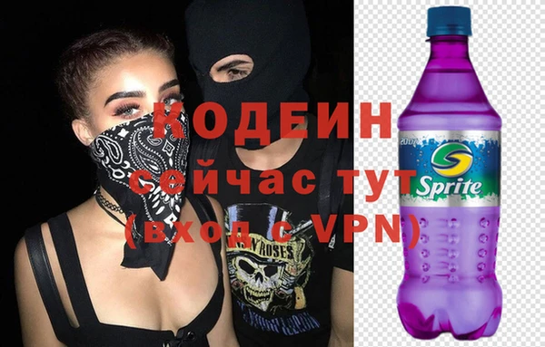 гашик Горняк
